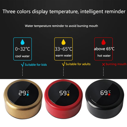 Stainless Steel Smart Digital Water Bottle